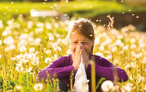 Crises alérgicas na primavera, como evitar?